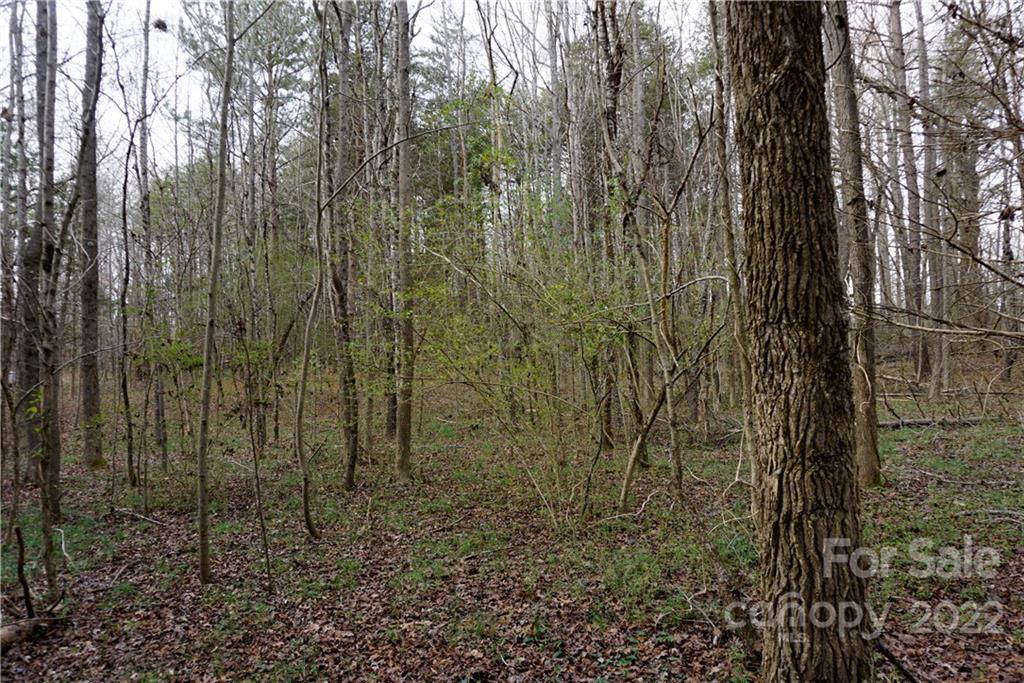 9-ac Burree Road Clover, SC 29710 - Photo 23 of 29 a view of a shower in a bathroom