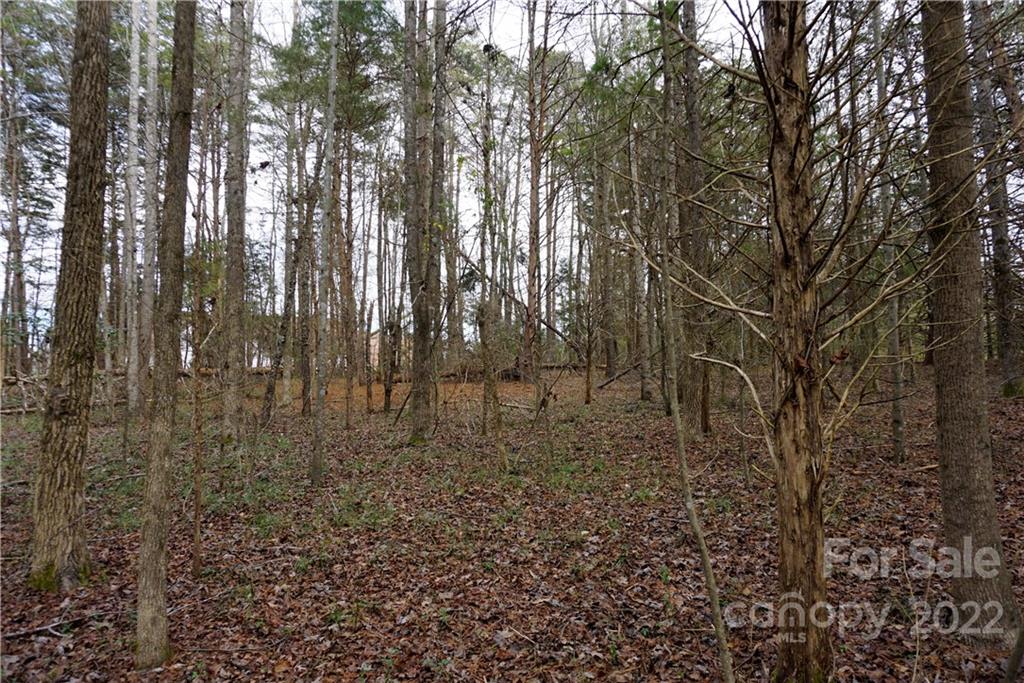 9-ac Burree Road Clover, SC 29710 - Photo 24 of 29 a view of outdoor space with lots of trees