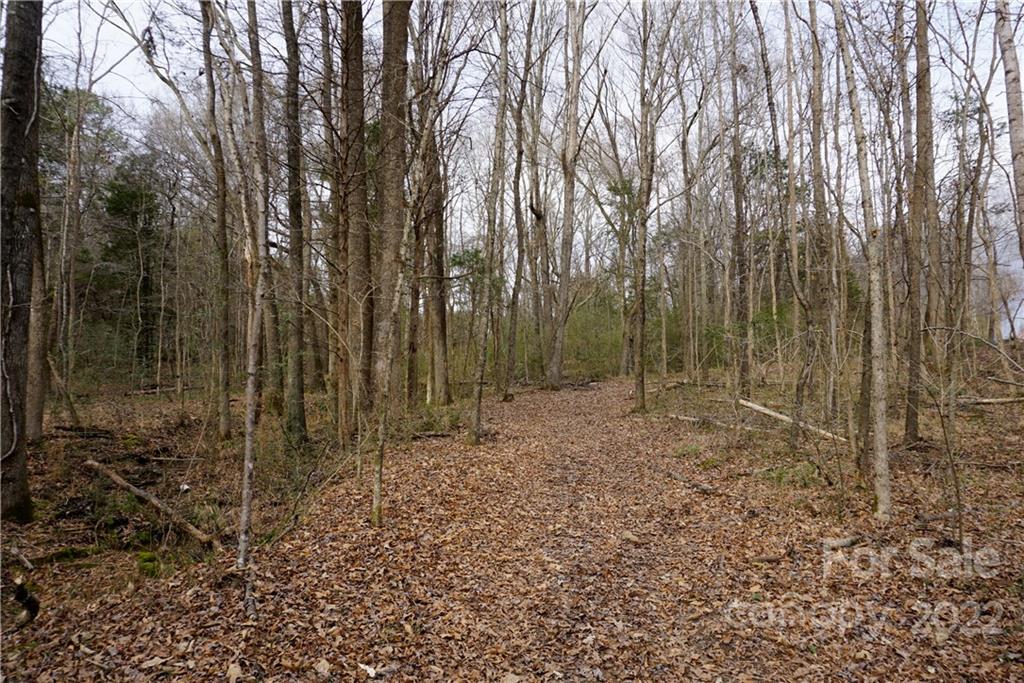 9-ac Burree Road Clover, SC 29710 - Photo 26 of 29 a view of a forest filled with trees