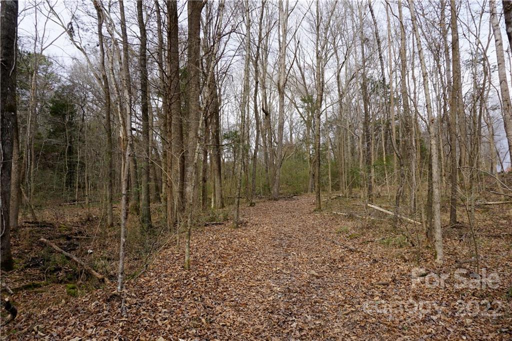 9-ac Burree Road Clover, SC 29710 - Photo 27 of 29 a view of a forest filled with trees