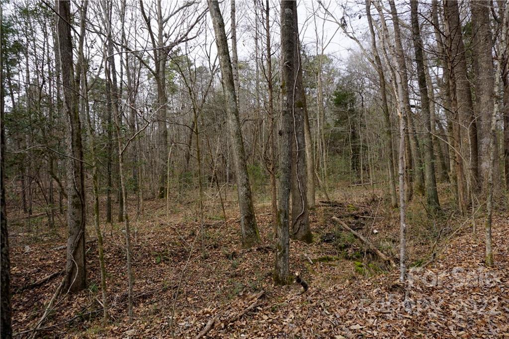 9-ac Burree Road Clover, SC 29710 - Photo 28 of 29 a view of a forest