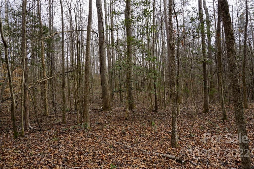 9-ac Burree Road Clover, SC 29710 - Photo 29 of 29 a view of a backyard