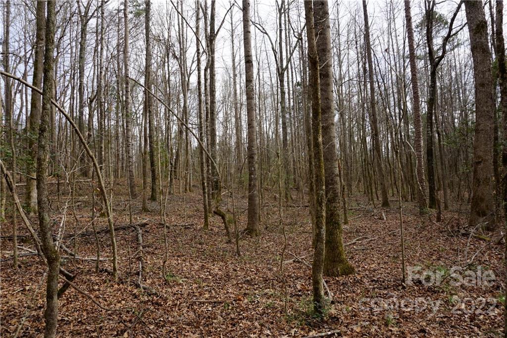 9-ac Burree Road Clover, SC 29710 - Photo 3 of 29 a view of a yard with lots of trees