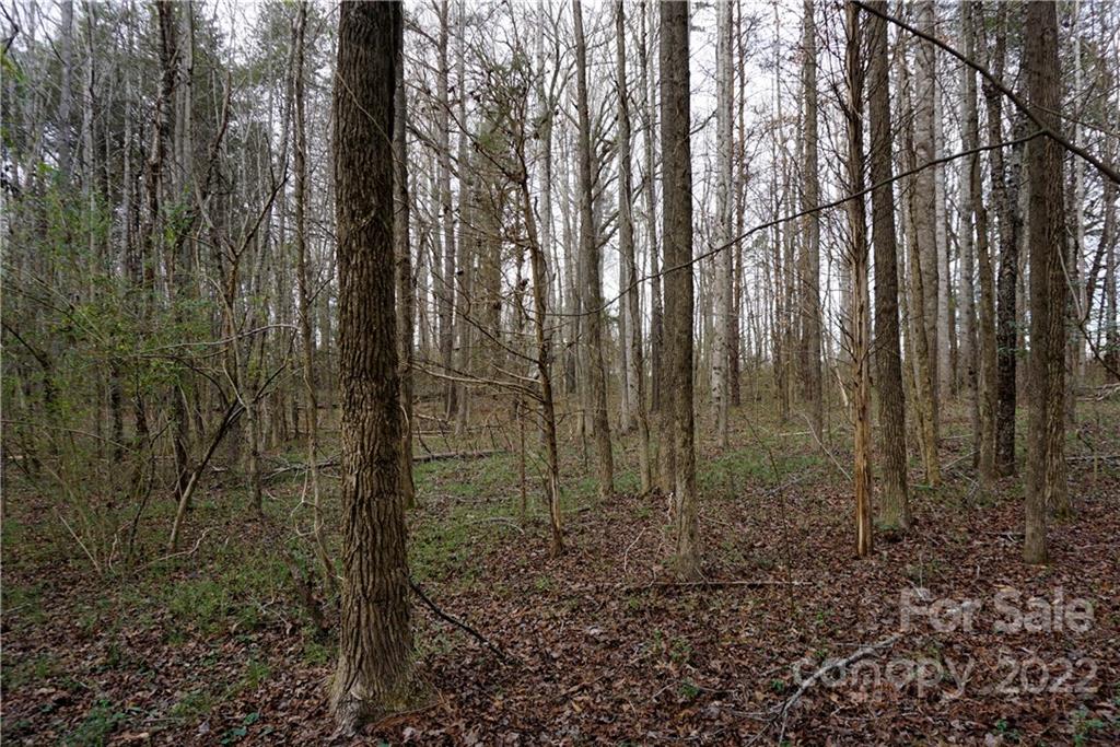 9-ac Burree Road Clover, SC 29710 - Photo 4 of 29 a view of forest