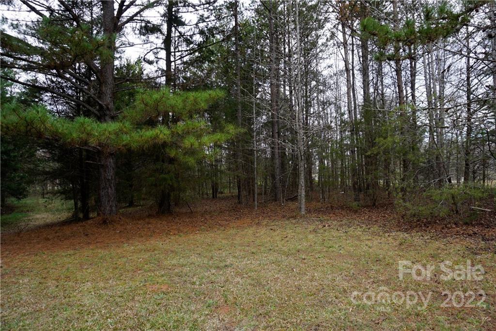 9-ac Burree Road Clover, SC 29710 - Photo 6 of 29 a view of outdoor space and trees