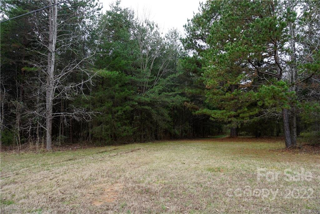 9-ac Burree Road Clover, SC 29710 - Photo 8 of 29 a view of backyard with green space
