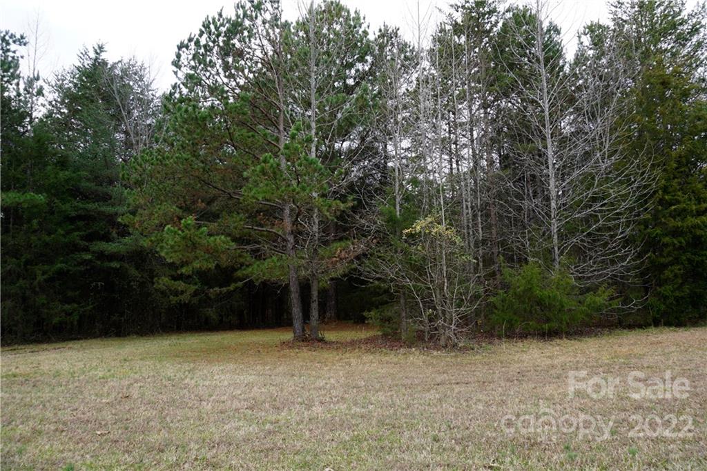 9-ac Burree Road Clover, SC 29710 - Photo 10 of 29 a view of outdoor space and yard