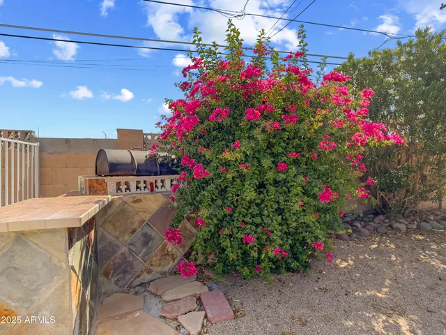 a view of a backyard with large trees