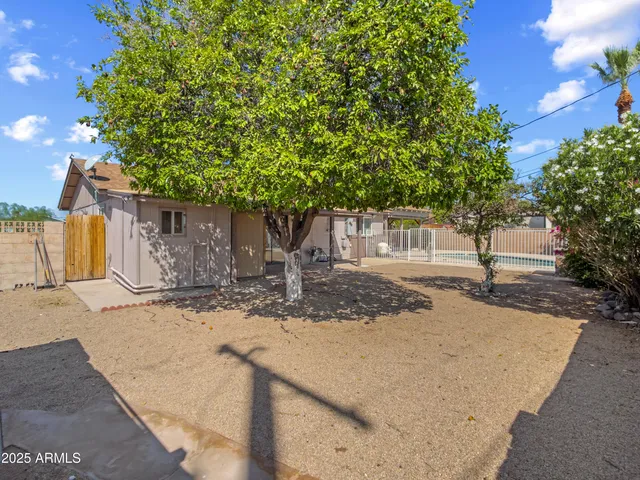 a view of a yard with plants and trees