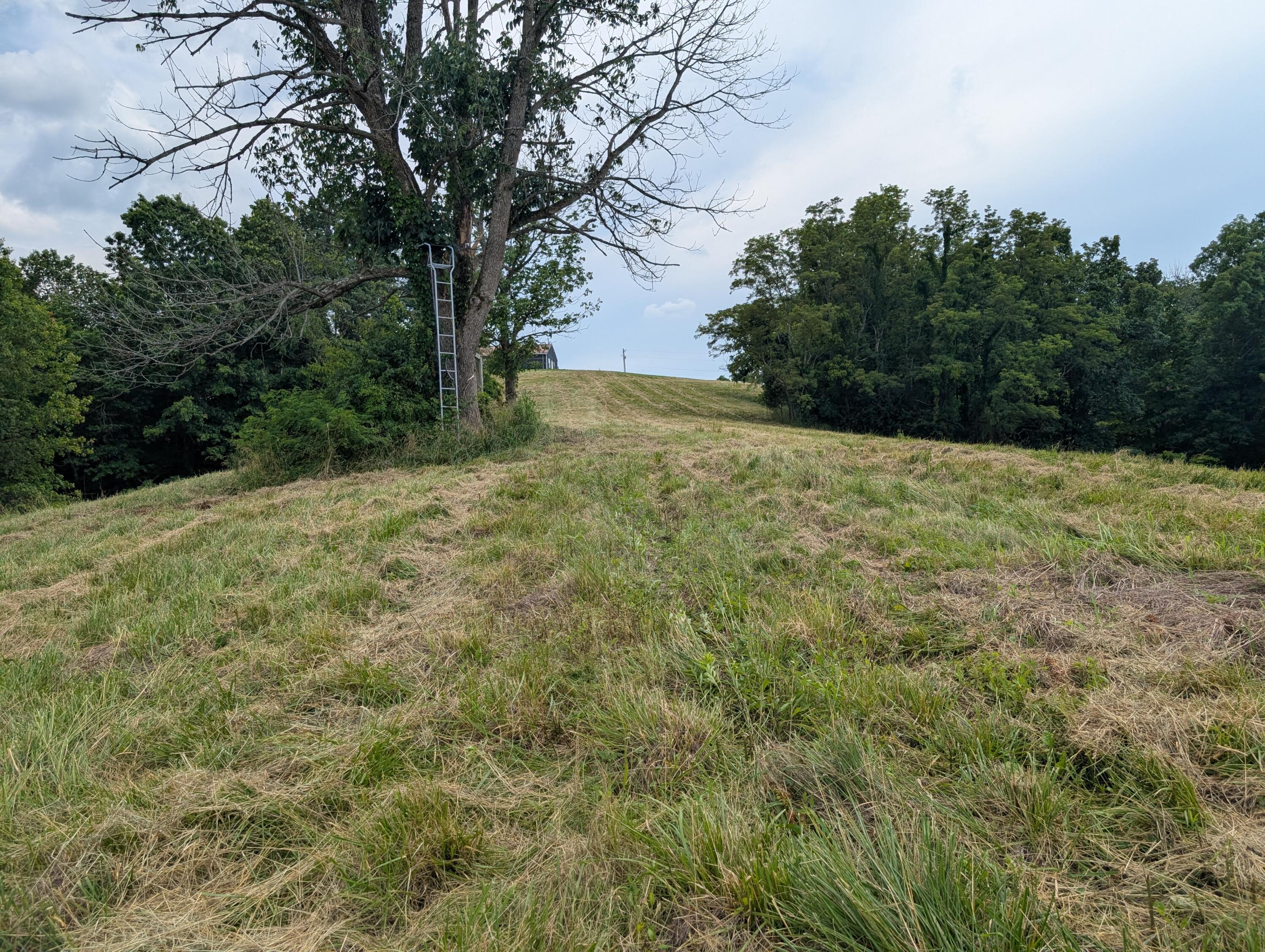 534 Maple Grove Road Richmond, KY 40475 - Photo 34 of 47 PXL_20250626_185137058