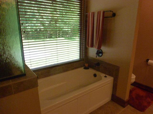 667 Rudd Hollow Road Townsend, TN 37882 - Photo 13 of 36 Master Suite 1 Bath #2