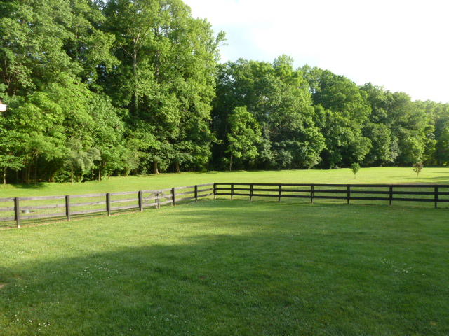 667 Rudd Hollow Road Townsend, TN 37882 - Photo 35 of 36 P1030432