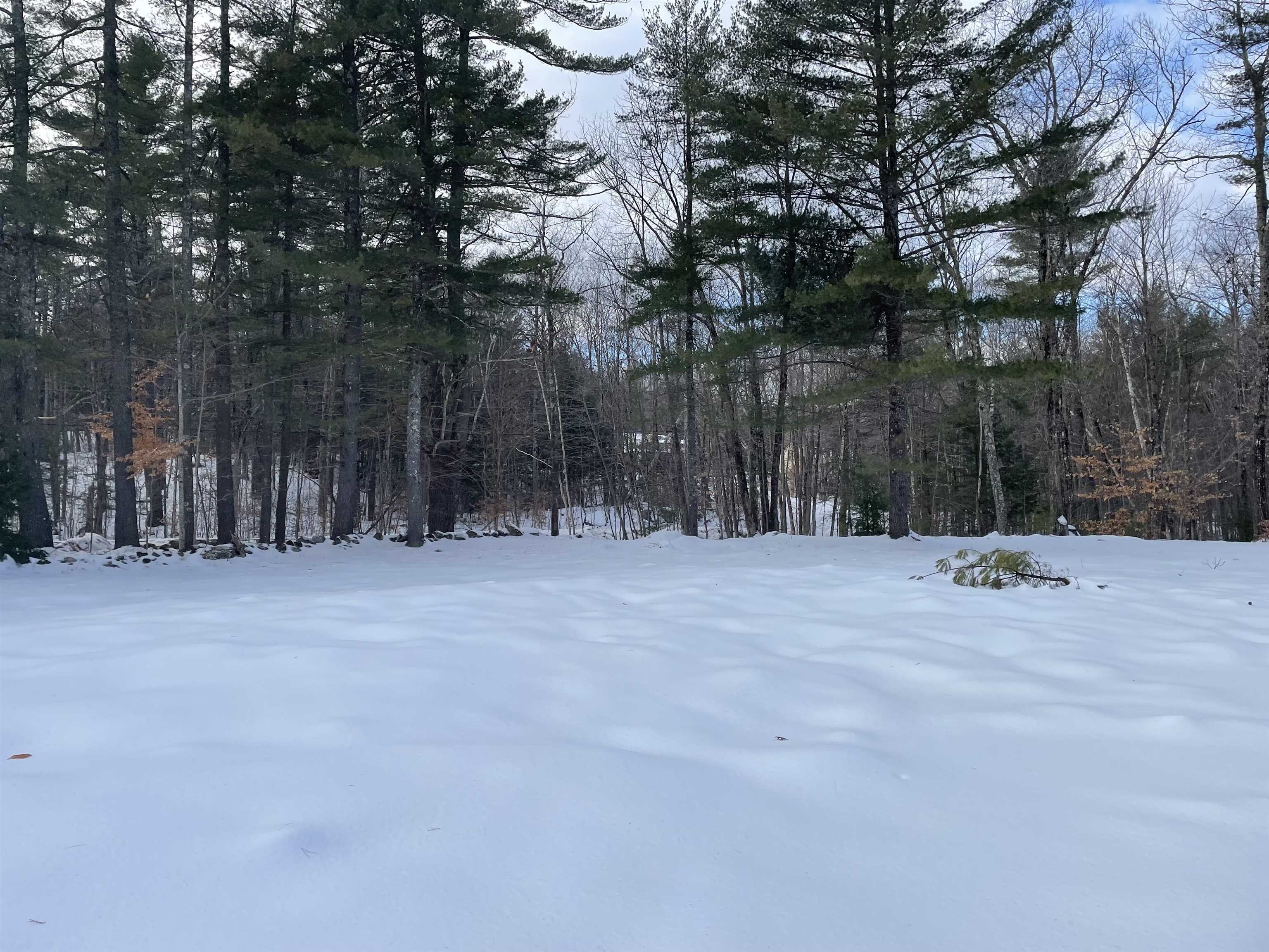 160 Ossipee Mountain Road Ossipee, NH 03814 - Photo 8 of 13 Gallery Image 8