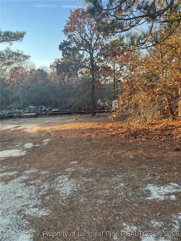 291 Calvin Road Cameron, NC 28326 - Photo 2 of 6 a view of a yard with a tree