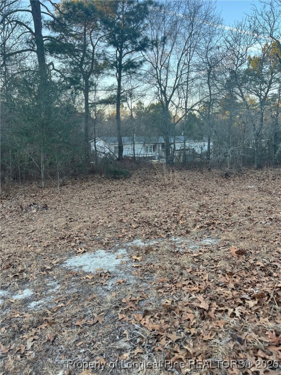 291 Calvin Road Cameron, NC 28326 - Photo 3 of 6 a backyard of a house with lots of green space