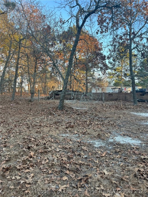 291 Calvin Road Cameron, NC 28326 - Photo 4 of 6 a backyard of a house with lots of green space