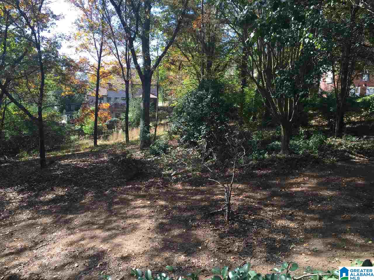 1131 Rushing Parc Drive Birmingham, AL 35244 - Photo 22 of 22