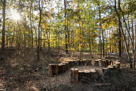 a view of backyard with sitting area