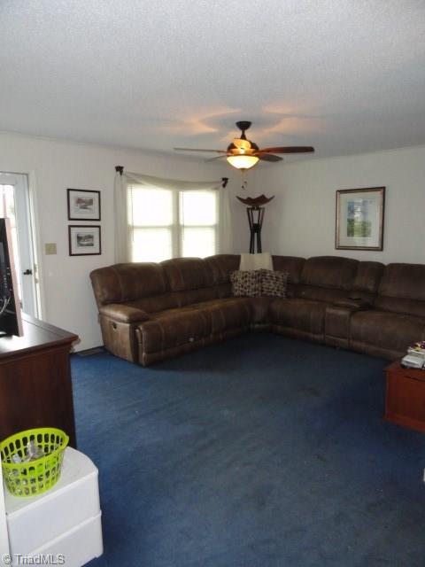 4955 Hoover Hill Road Trinity, NC 27370 - Photo 12 of 26