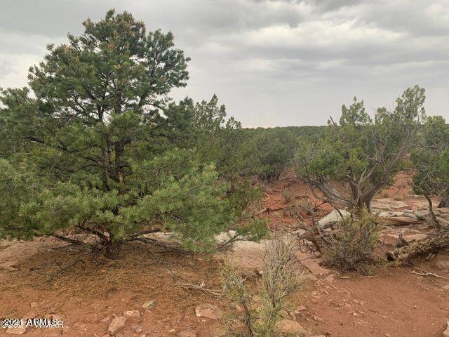 2733 Bradley Road Snowflake, AZ 85937 - Photo 1 of 20 Bradley 1