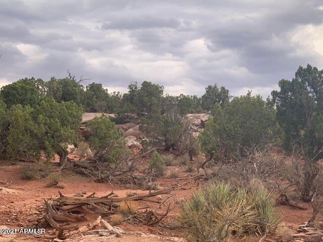 2733 Bradley Road Snowflake, AZ 85937 - Photo 3 of 20 Bradley 3