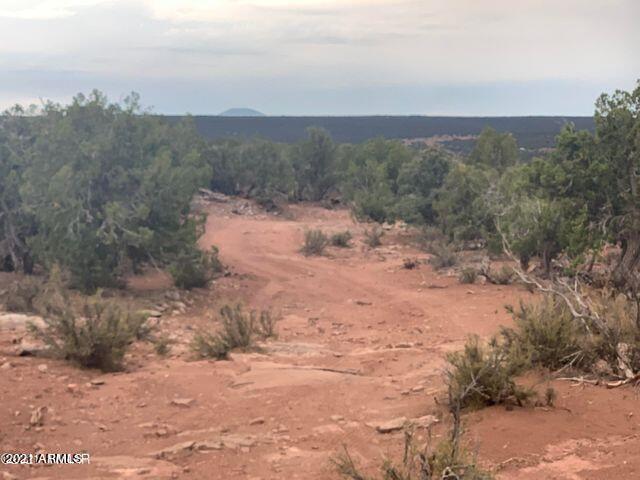 2733 Bradley Road Snowflake, AZ 85937 - Photo 4 of 20 Bradley 4