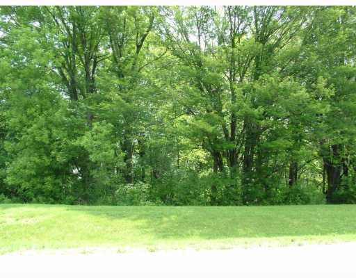 7396 Ridge Line Circle Dexter, MI 48130 - Photo 8 of 10 Photo 8