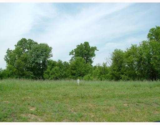 7396 Ridge Line Circle Dexter, MI 48130 - Photo 9 of 10 Photo 9