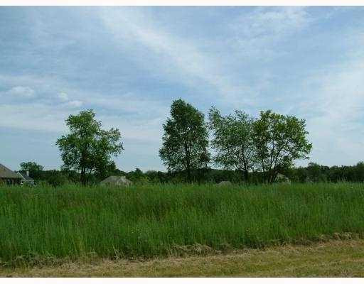 7396 Ridge Line Circle Dexter, MI 48130 - Photo 10 of 10 Photo 10
