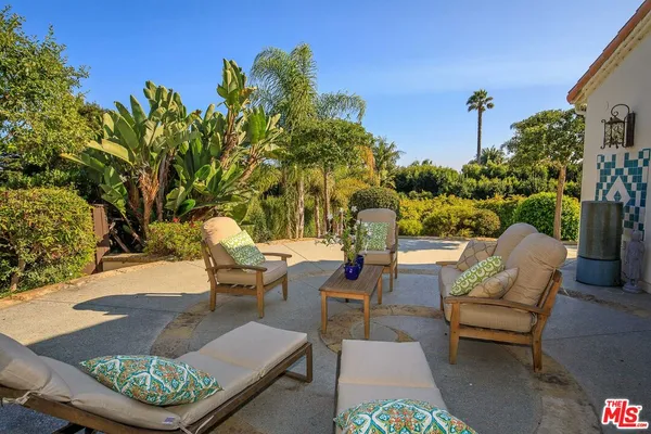 a view of a yard with plants
