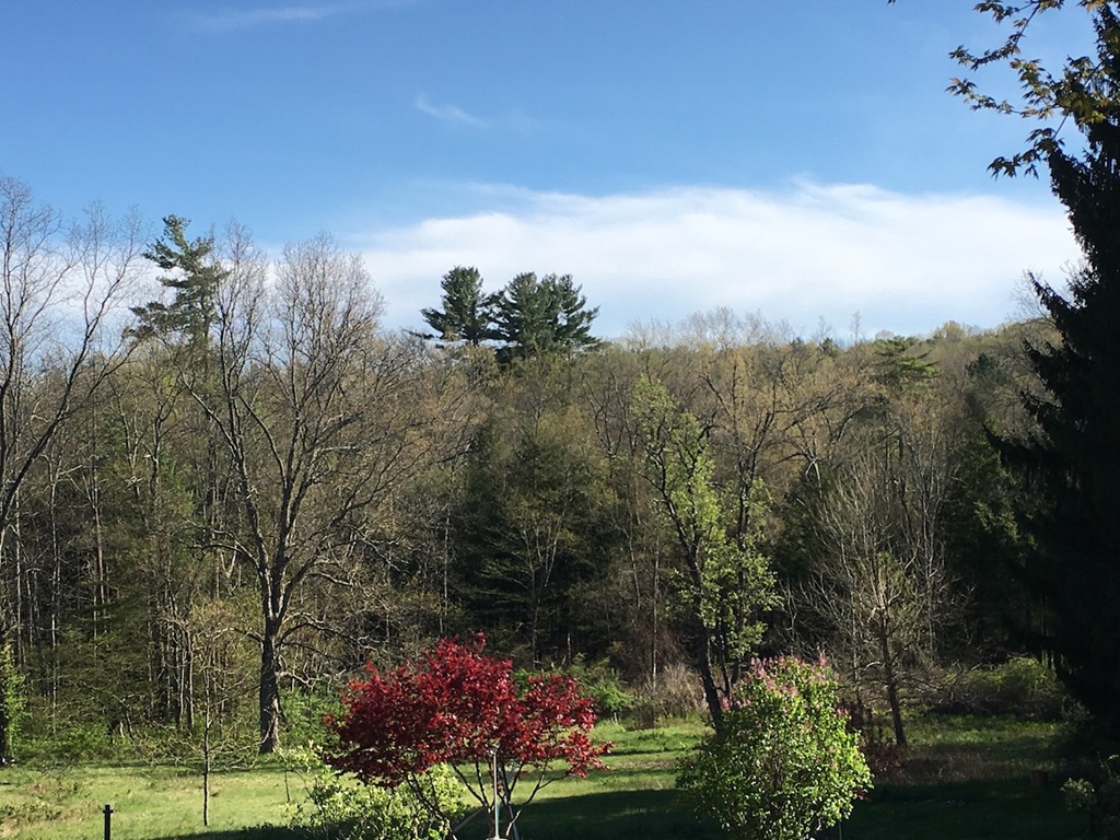 43 Fred Jackson Road Southwick, MA 01077 - Photo 28 of 29 Gallery Image 28