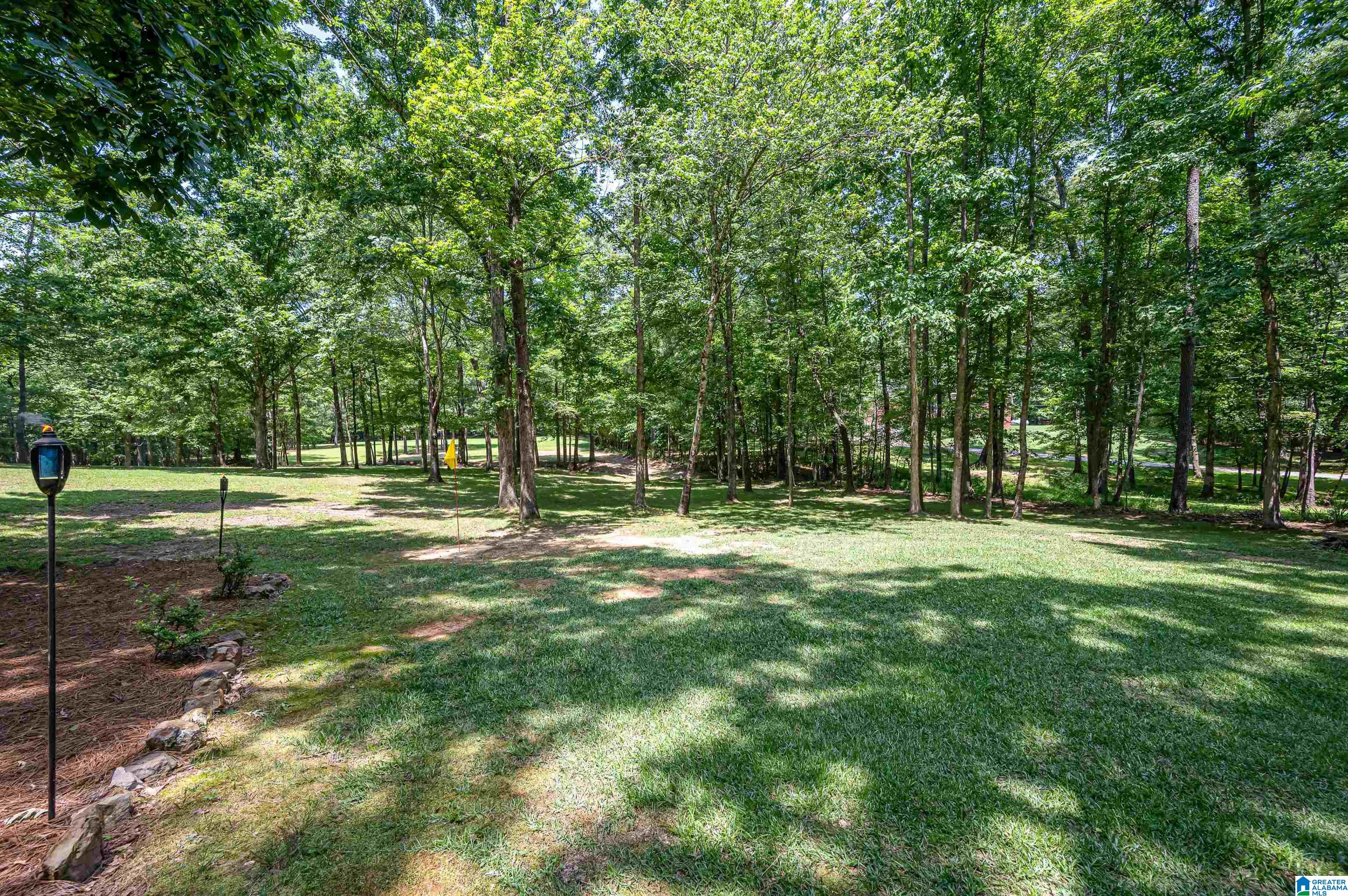 290 Baron Drive Chelsea, AL 35043 - Photo 46 of 59