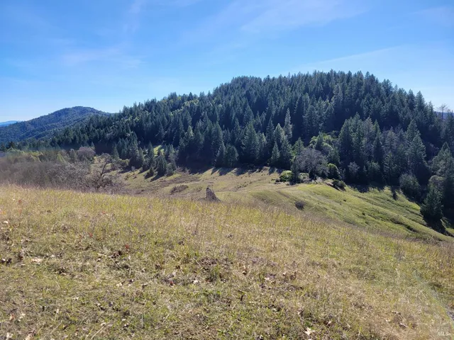 a view of a backyard of a house