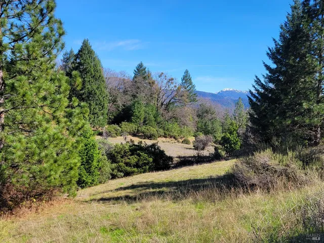 a view of a lake with a mountain in the background