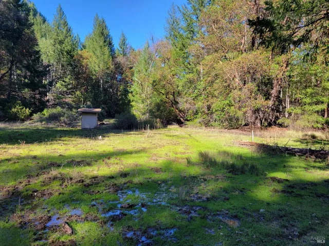 a view of yard with swimming pool and green space
