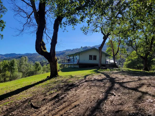 a house view with a backyard space