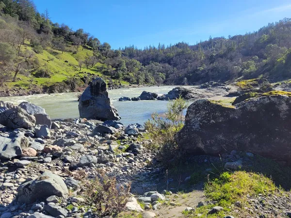 a view of outdoor space and a yard