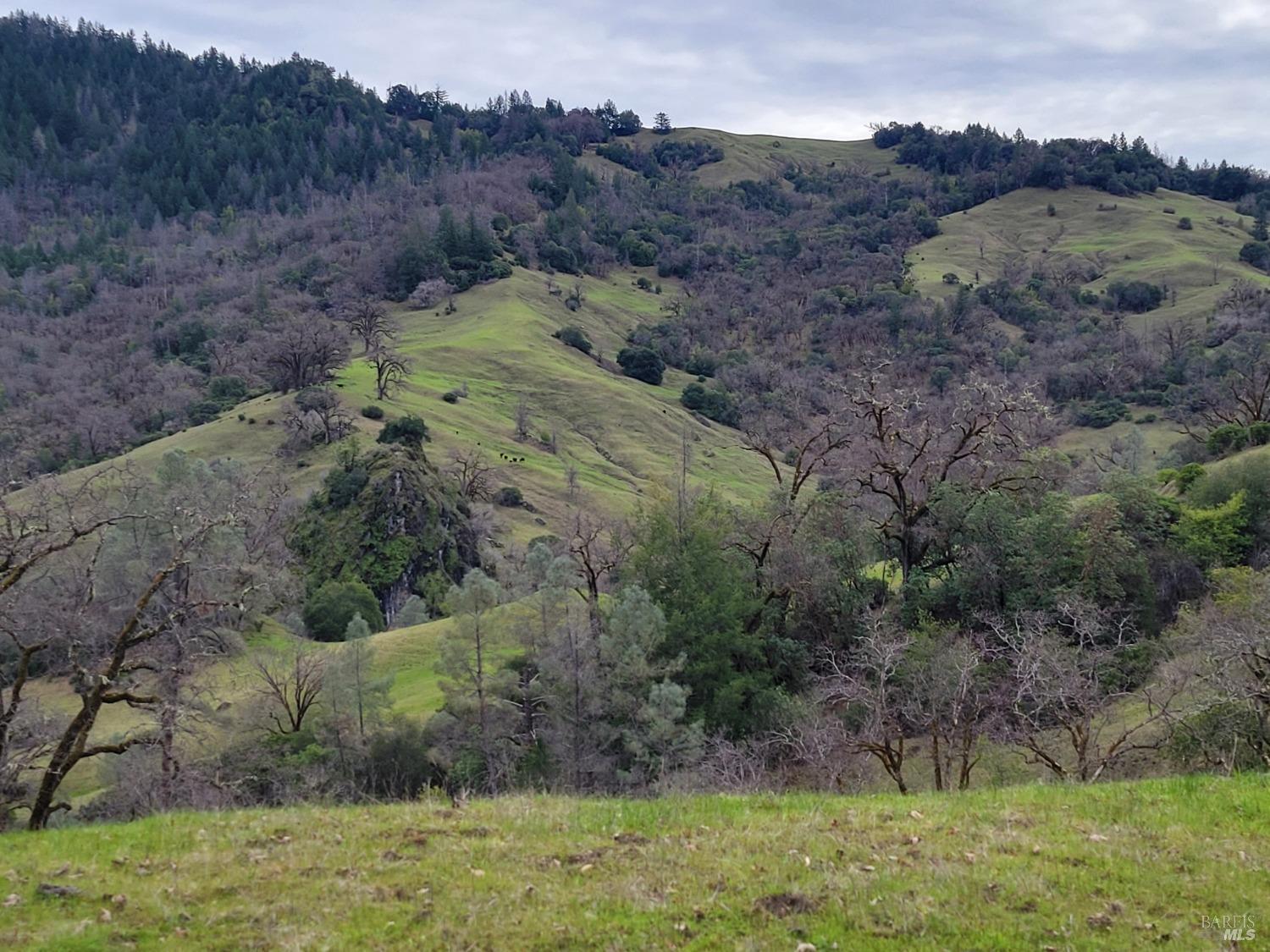 43281 Covelo Road Willits, CA 95490 - Photo 26 of 37 an aerial view of greenery