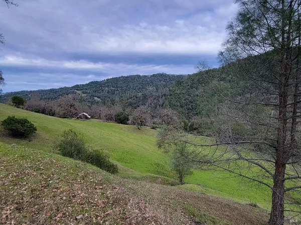 a view of a yard with a mountain