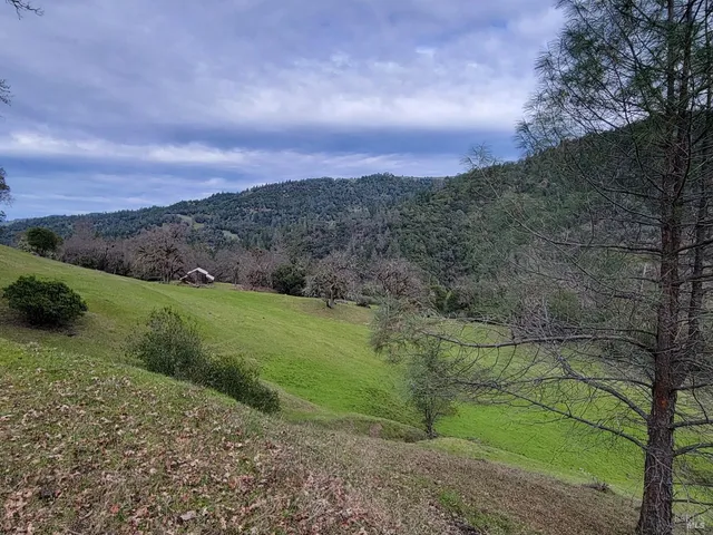 a view of a yard with a mountain