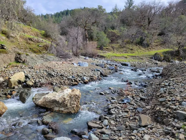 a view of a backyard with green space