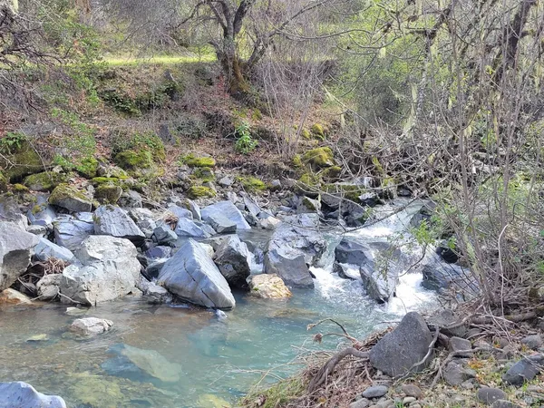 a view of a dry yard