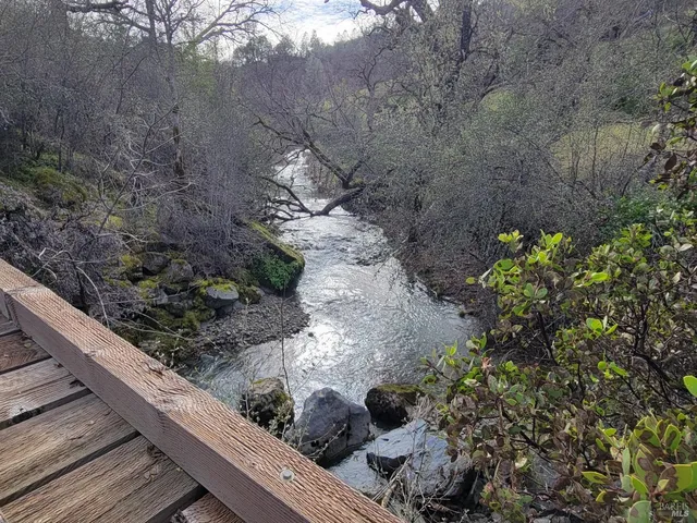 a view of a garden with wooden fence