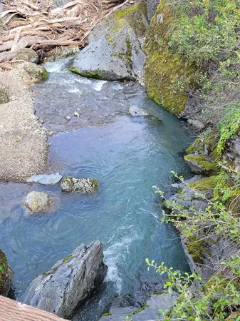 a view of back yard of the house