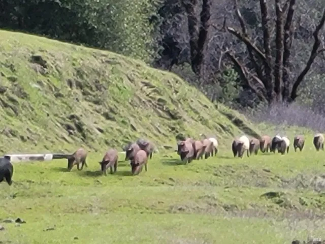 $7,500,000 | 43281 Covelo Road, Willits, CA 95490