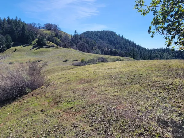 a view of dirt field with mountain in the background