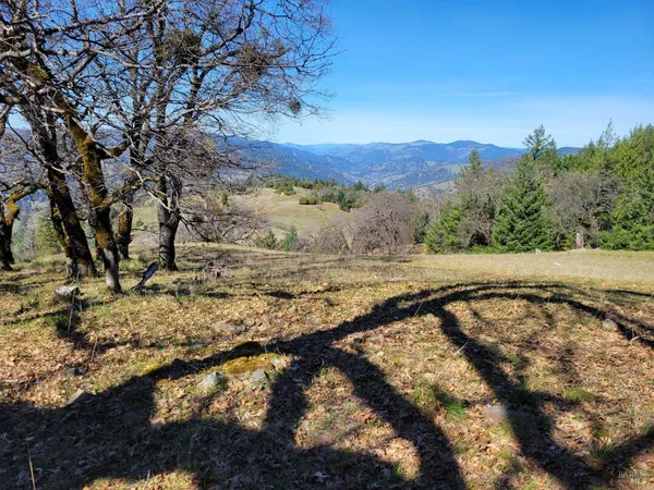 a view of a yard with wooden fence