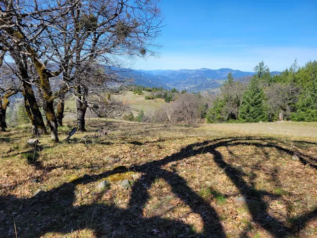 a view of a yard with wooden fence
