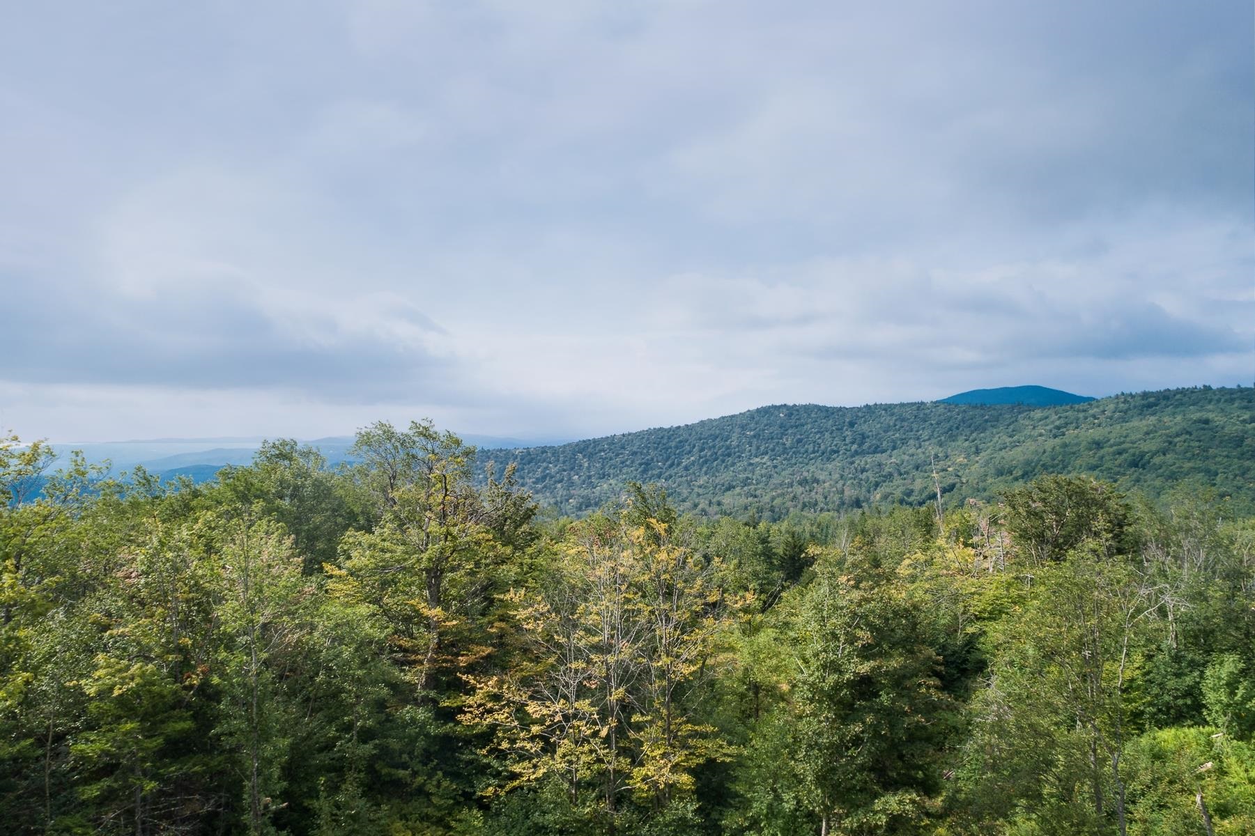 1300 Bear Farm Road Northfield, VT 05663 - Photo 3 of 10