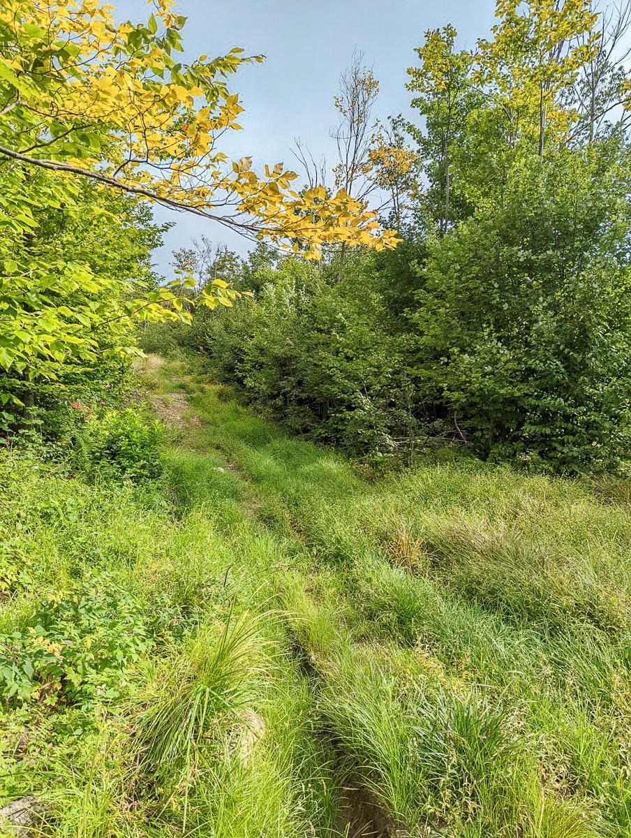 1300 Bear Farm Road Northfield, VT 05663 - Photo 8 of 10